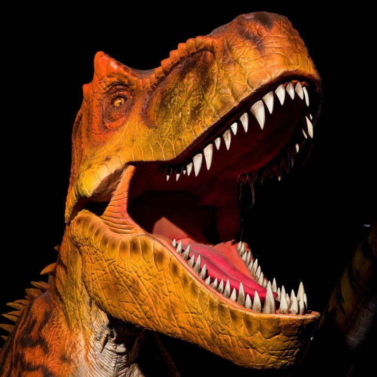 DinoDon - Life Sized Dinosaurs - Shark Tank Blog